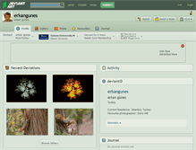 Tablet Screenshot of erkangunes.deviantart.com
