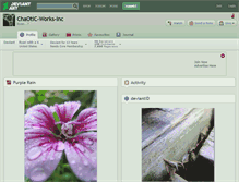Tablet Screenshot of chaotic-works-inc.deviantart.com