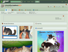 Tablet Screenshot of chinchilla-madness.deviantart.com