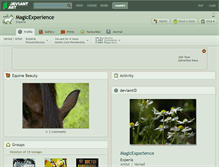 Tablet Screenshot of magicexperience.deviantart.com