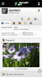 Mobile Screenshot of cturtle21.deviantart.com