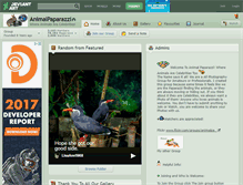 Tablet Screenshot of animalpaparazzi.deviantart.com