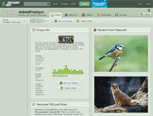 Tablet Screenshot of animalfrenzy.deviantart.com