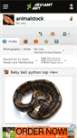 Mobile Screenshot of animalstock.deviantart.com