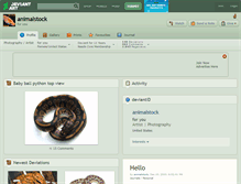 Tablet Screenshot of animalstock.deviantart.com