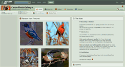 Desktop Screenshot of canon-photo-gallery.deviantart.com