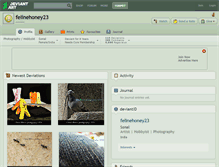 Tablet Screenshot of felinehoney23.deviantart.com