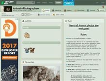 Tablet Screenshot of animal---photography.deviantart.com