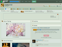 Tablet Screenshot of lizzdurr121.deviantart.com