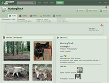 Tablet Screenshot of mustangstock.deviantart.com