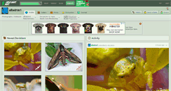 Desktop Screenshot of albatros1.deviantart.com