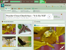 Tablet Screenshot of albatros1.deviantart.com