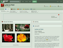 Tablet Screenshot of larien-ar-feini.deviantart.com