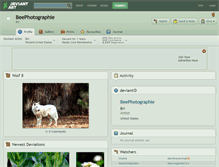 Tablet Screenshot of beephotographie.deviantart.com