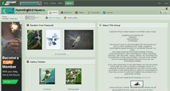 Desktop Screenshot of hummingbird-haven.deviantart.com