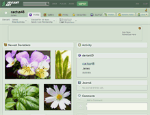 Tablet Screenshot of cactus48.deviantart.com