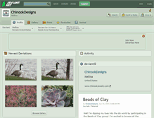 Tablet Screenshot of chinookdesigns.deviantart.com