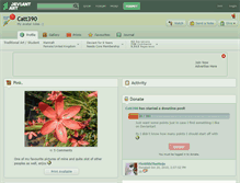 Tablet Screenshot of catt390.deviantart.com