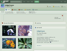 Tablet Screenshot of indigocrayon.deviantart.com