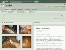 Tablet Screenshot of ferretsoda.deviantart.com