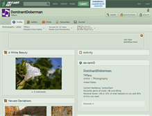 Tablet Screenshot of dominantdoberman.deviantart.com