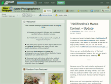 Tablet Screenshot of macro-photographers.deviantart.com