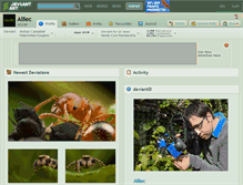 Tablet Screenshot of alliec.deviantart.com