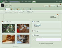 Tablet Screenshot of juncmodule.deviantart.com