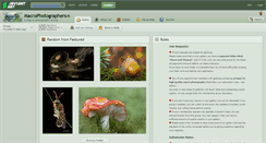 Desktop Screenshot of macrophotographers.deviantart.com
