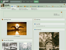 Tablet Screenshot of briedis.deviantart.com