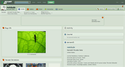 Desktop Screenshot of metdude.deviantart.com