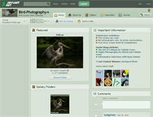 Tablet Screenshot of bird-photography.deviantart.com