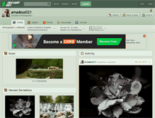 Tablet Screenshot of amadeus021.deviantart.com
