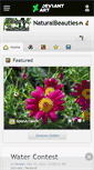 Mobile Screenshot of naturalbeauties.deviantart.com