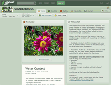 Tablet Screenshot of naturalbeauties.deviantart.com