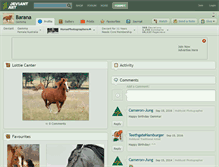 Tablet Screenshot of barana.deviantart.com