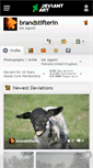 Mobile Screenshot of brandstifterin.deviantart.com