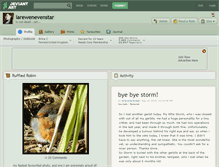 Tablet Screenshot of larewenevenstar.deviantart.com