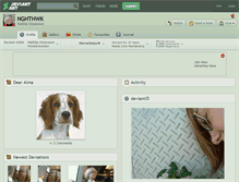 Tablet Screenshot of nghthwk.deviantart.com