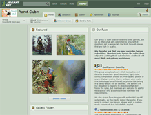 Tablet Screenshot of parrot-club.deviantart.com