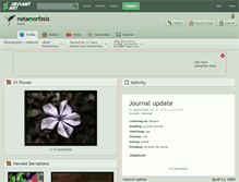 Tablet Screenshot of netamorfosis.deviantart.com