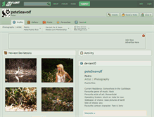 Tablet Screenshot of peteseawolf.deviantart.com