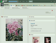 Tablet Screenshot of bcarroll.deviantart.com
