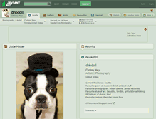 Tablet Screenshot of dnbdoll.deviantart.com
