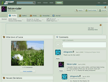 Tablet Screenshot of falcon-ryder.deviantart.com