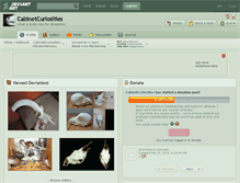 Tablet Screenshot of cabinetcuriosities.deviantart.com