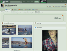Tablet Screenshot of bw--photography.deviantart.com