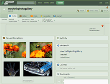 Tablet Screenshot of mechellsphotogallery.deviantart.com