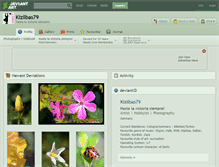 Tablet Screenshot of kizilbas79.deviantart.com