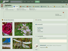 Tablet Screenshot of harleyluv.deviantart.com